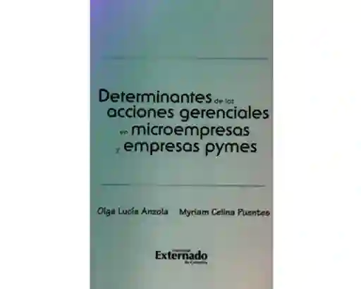 Determinantes de Las Acciones Gerenciales en Microempresas