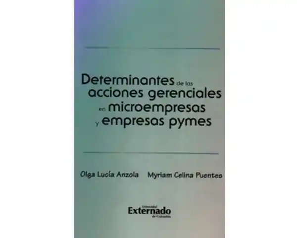 Determinantes de Las Acciones Gerenciales en Microempresas