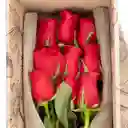 Caja 9 Rosas Rojas