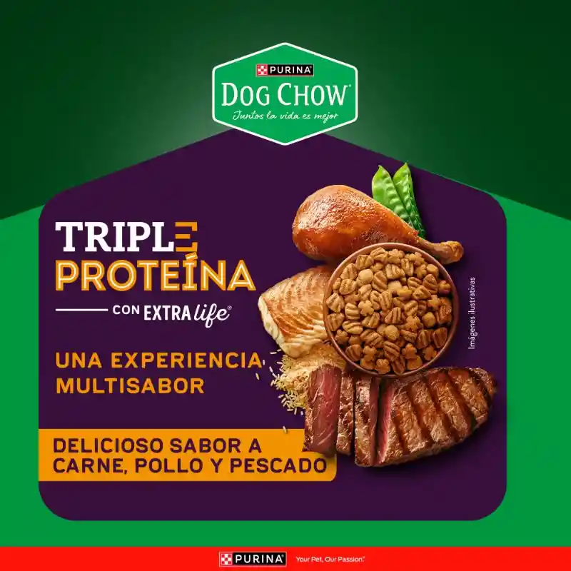 Comida para perro Dog Chow Triple proteina todos los tamaños 8 kg