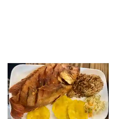 Tilapia con Sopa de Pescado