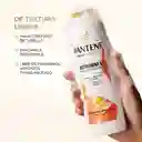 Shampoo Anticaída+ Pantene Biotinamina B3 Cabello Débil 300 mL