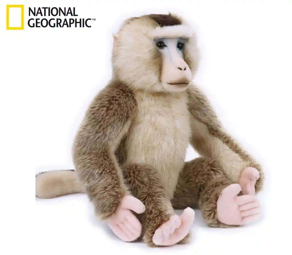 National Geographic Macaco