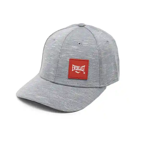 Everlast Gorra Monday Gris