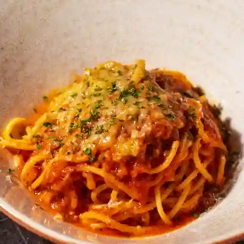 Bolognesa