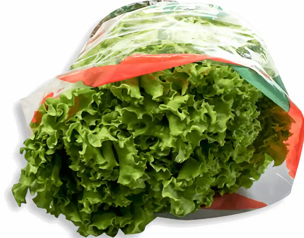 Lechuga Verde Fresca Surtimax