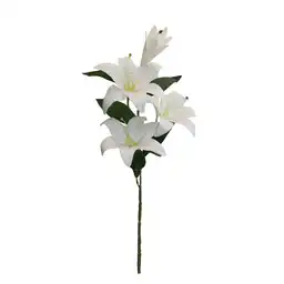 Lirio Gio Home Cuatro Cabezas Blanco