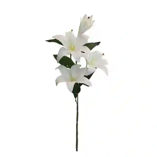 Lirio Gio Home Cuatro Cabezas Blanco