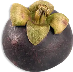 Mangostino