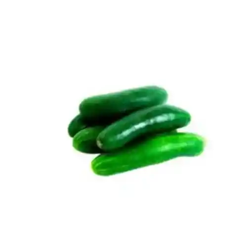 Pepino Cohombro - El Bodegón de Cota X 500