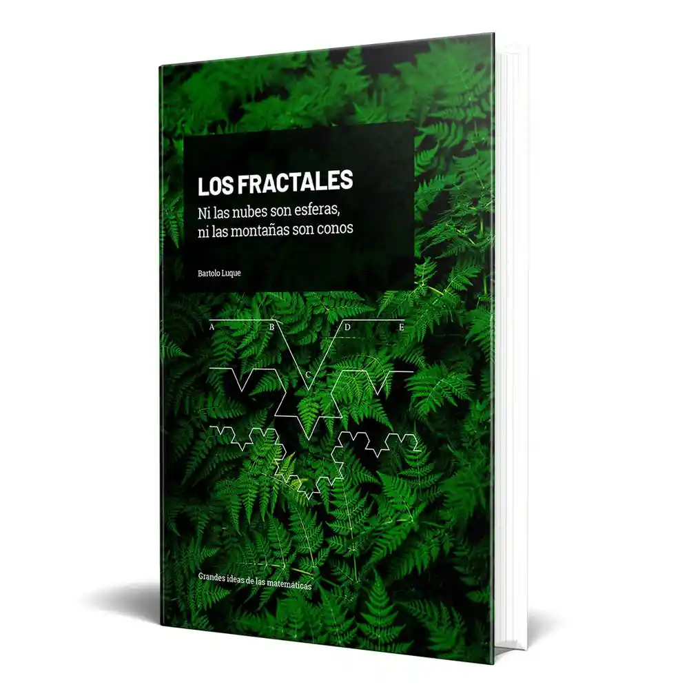 Math T26 Los Fractal El Tiempo 700005724