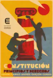 Constitucion Principios y Derechos