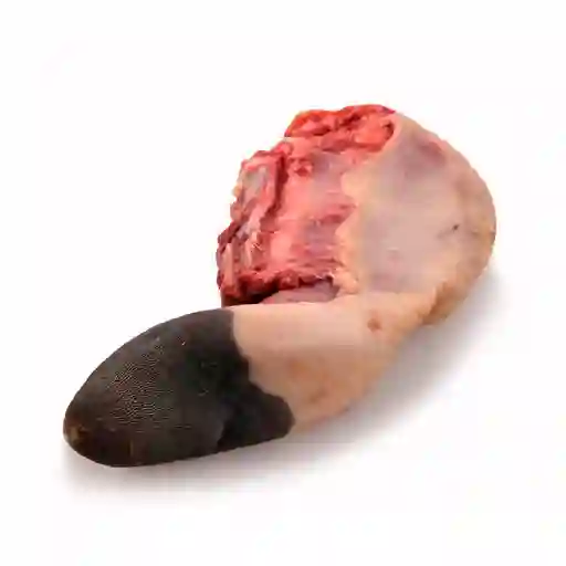 Lengua Especial Viscera Pim X Kg