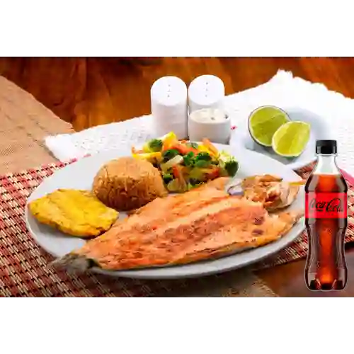 Combo Trucha + Coca-Cola ZERO 400ml