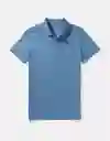 Polo Hombre Azul Talla X-Small American Eagle 9146404