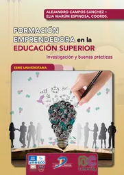 Formacion Emprendedora en La Educacion Superior
