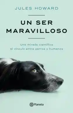 Un Ser Maravilloso