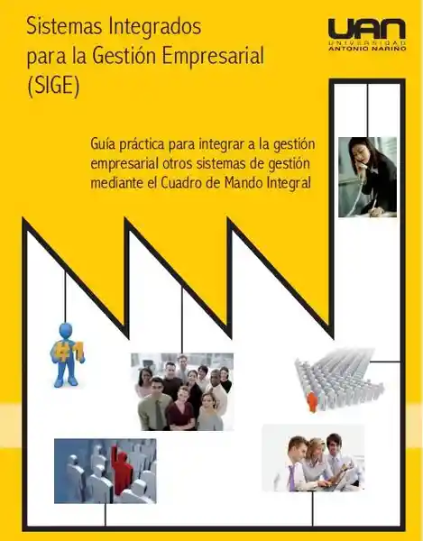 Sistemas Integrados Para la Gestión Empresarial (Sige)