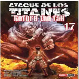 Manga N.17 Panini Qmbfa017