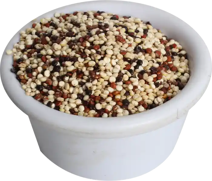 Quinoa Real Mix