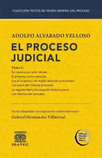 El Proceso Judicial
