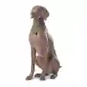 Pañuelo Menta Doble Faz 2.0 Verde Talla L 3DL Totto