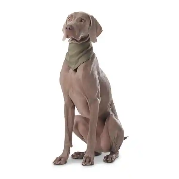 Pañuelo Menta Doble Faz 2.0 Verde Talla L 3DL Totto