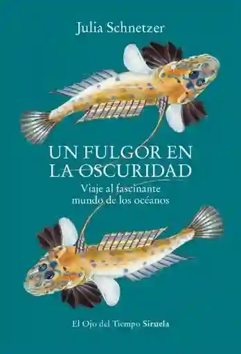 Un Fulgor en la Oscuridad - Schnetzer Julia