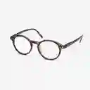 B+D Gafas Reading Loop Carey + 1.50