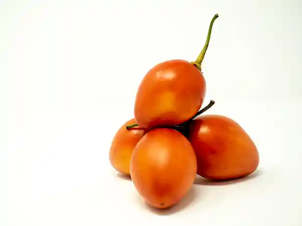 Tomate de Árbol