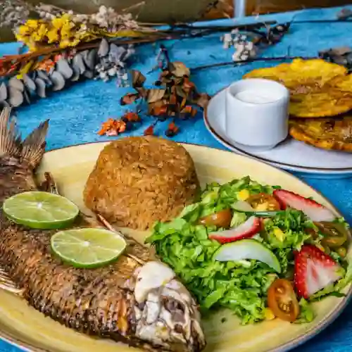 Bocachico Frito