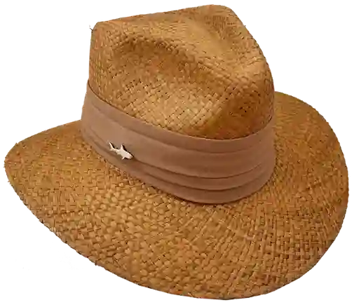 Sombrero Oscuro Cinta Ancha Tabaco Talla 6 Salvador Beachwear