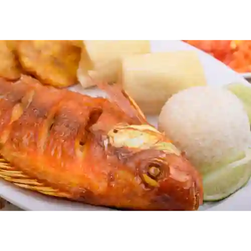 Mojarra Frita