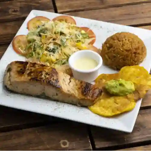 Salmón