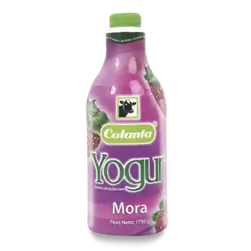Colanta Yogur Mora