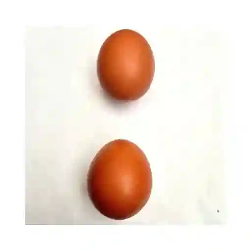 Huevos Doble Aa - Huevos Dobles