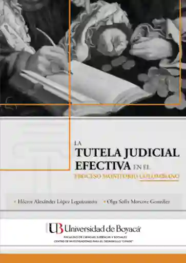 La Tutela Judicial Efectiva en El Proceso Monitorio Colombiano