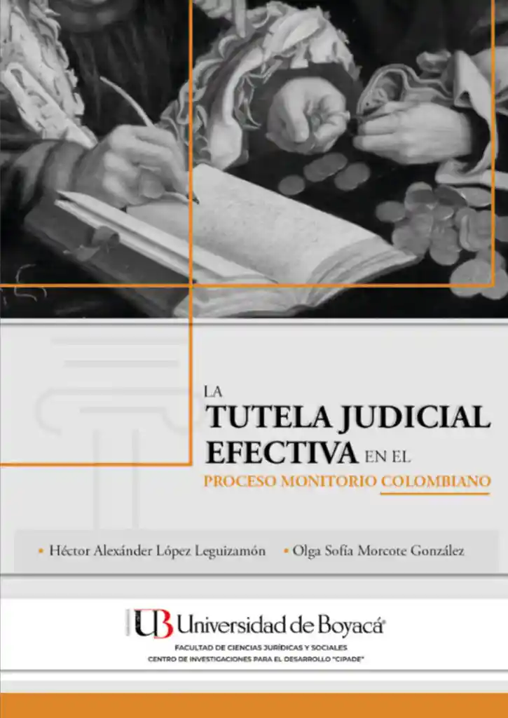 La Tutela Judicial Efectiva en El Proceso Monitorio Colombiano