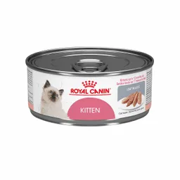 Royal Canin Alimento para Gato Health Nutrition Kitten 
