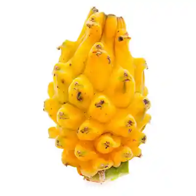 PITAYA