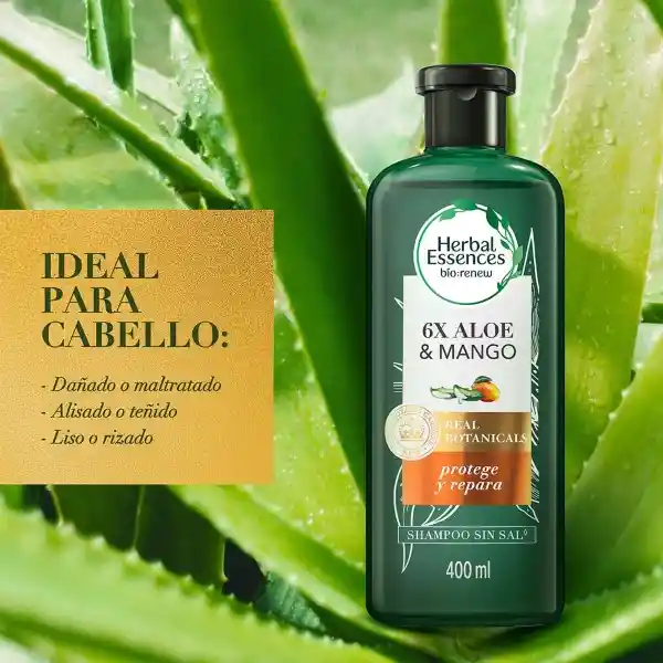 Herbal Essences Renew Aloe y Mango Protege y Repara Shampoo