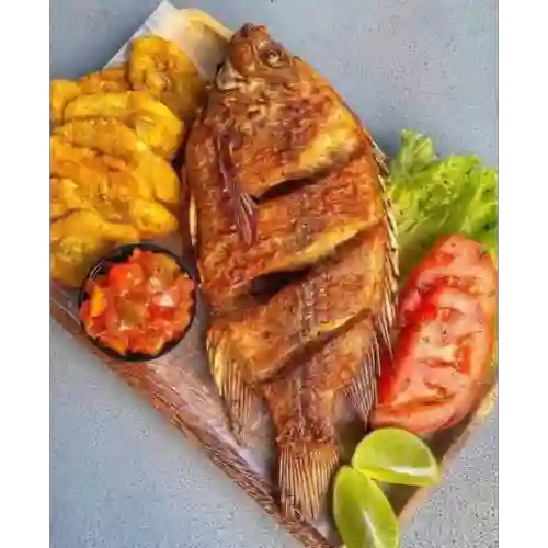 Tilapia Frita