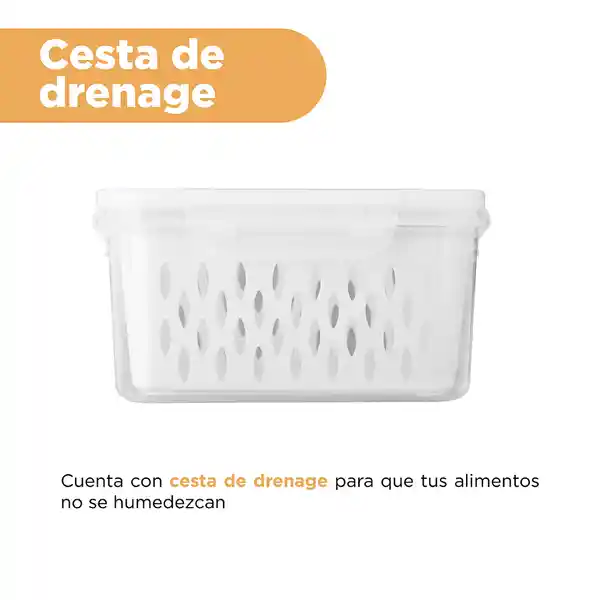 Contenedor Para Alimentos Con Cesta de Drenaje 33 L Miniso