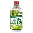 Natural Freshly Bebida Funcional de Aloe Vera con Uva