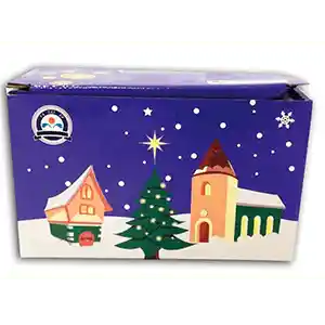 Luces De Navidad Cortina 3 Mts Ancho X 0.45 Mts Alto Hembra 