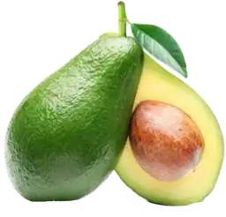 Aguacate Santana