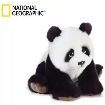 Geographic Oso Panda National