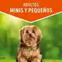 Comida húmeda para perro Dog Chow Adultos Minis y pequeños carne x 100 gr