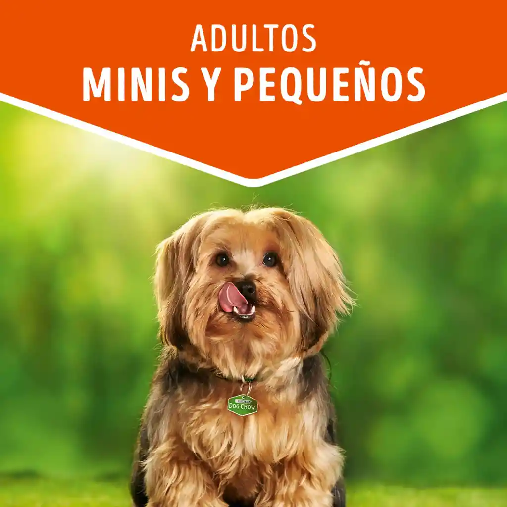 Comida húmeda para perro Dog Chow Adultos Minis y pequeños carne x 100 gr