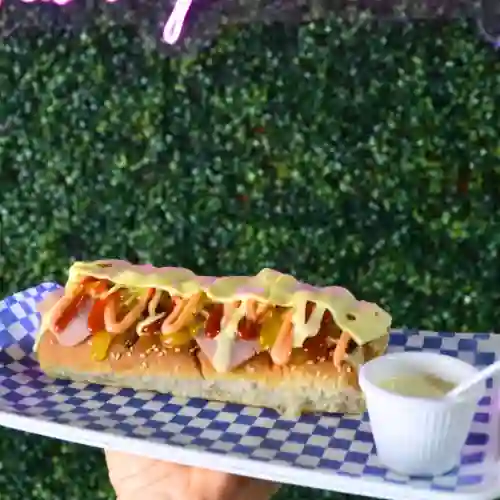 Perro Especial